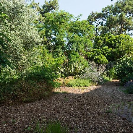 Le Lodge Du Cap Ferret Lège-Cap-Ferret Eksteriør billede