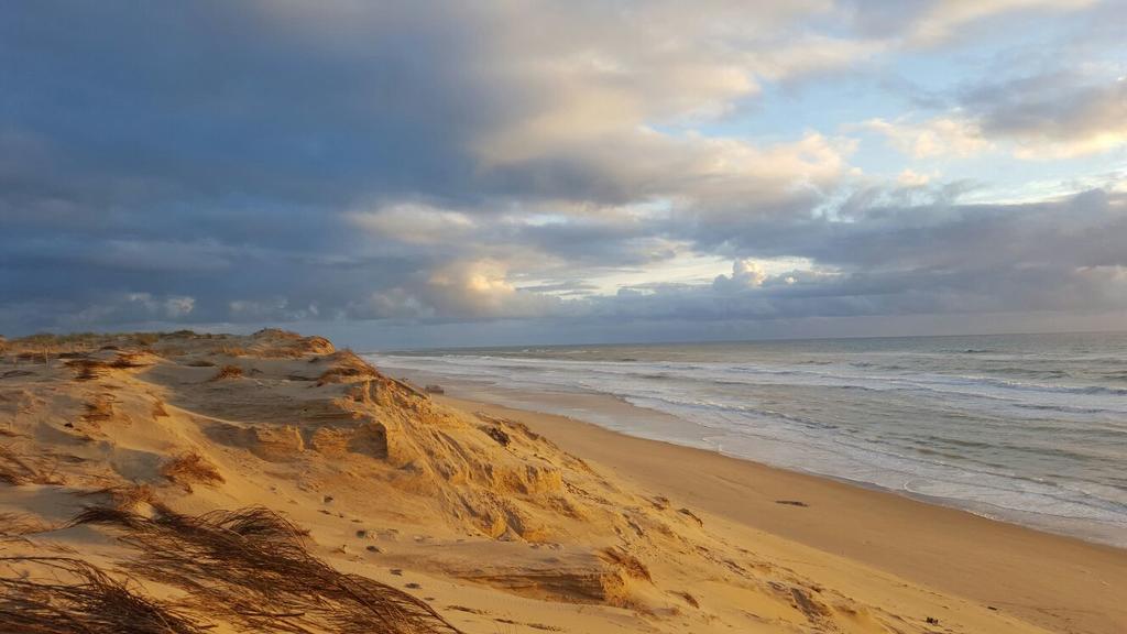 Le Lodge Du Cap Ferret Lège-Cap-Ferret Eksteriør billede