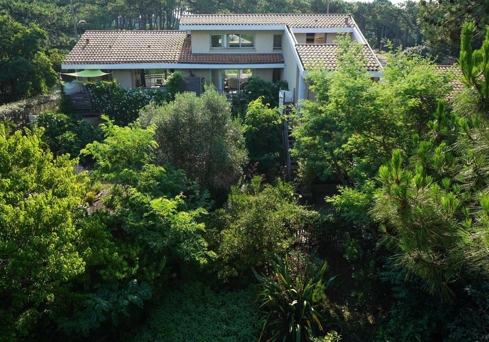Le Lodge Du Cap Ferret Lège-Cap-Ferret Eksteriør billede