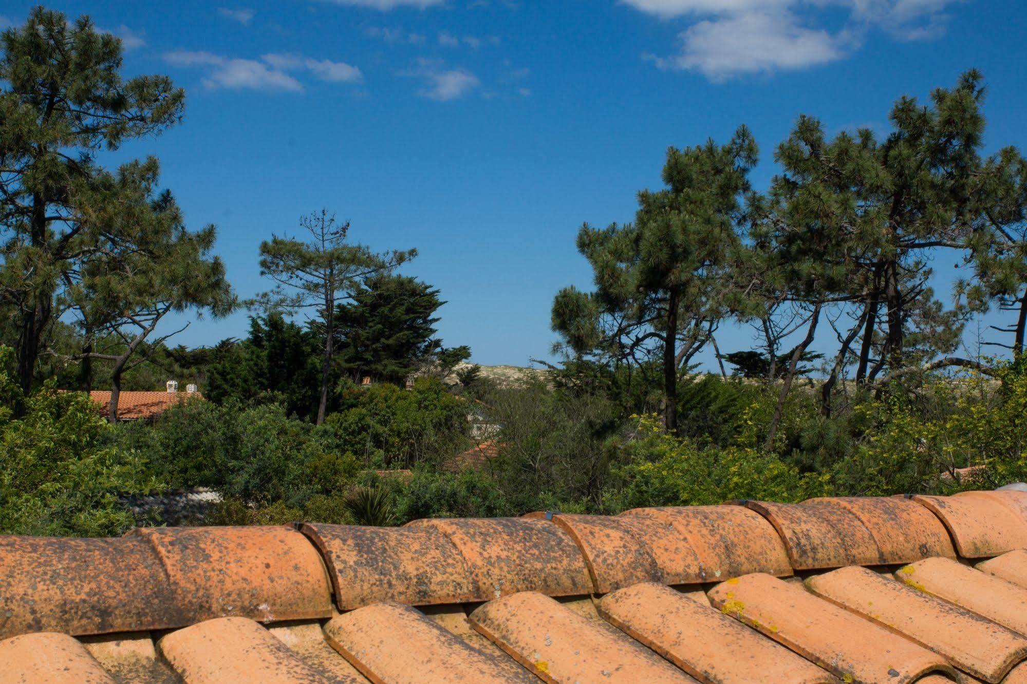 Le Lodge Du Cap Ferret Lège-Cap-Ferret Eksteriør billede