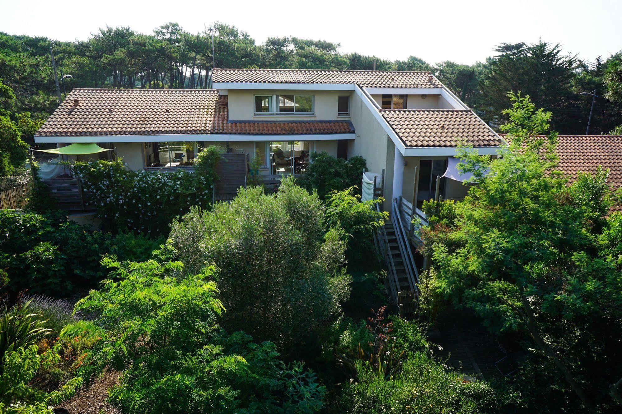 Le Lodge Du Cap Ferret Lège-Cap-Ferret Eksteriør billede